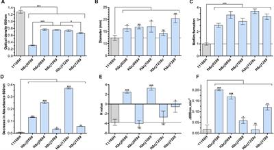 The Periplasmic Chaperone Network of Campylobacter jejuni: Evidence that SalC (Cj1289) and PpiD (Cj0694) Are Involved in Maintaining Outer Membrane Integrity